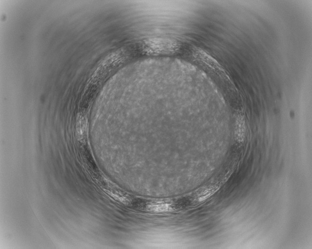 X0000057070701200510071433