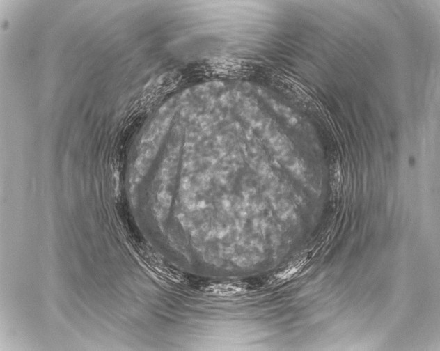 X0000057070703200510071433