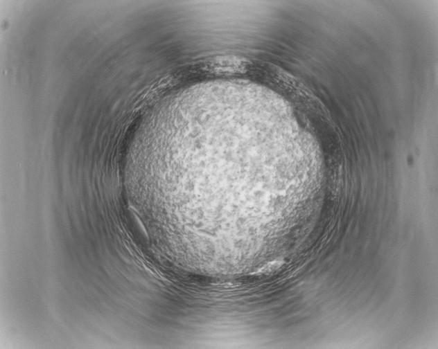 X0000057070704200510071433