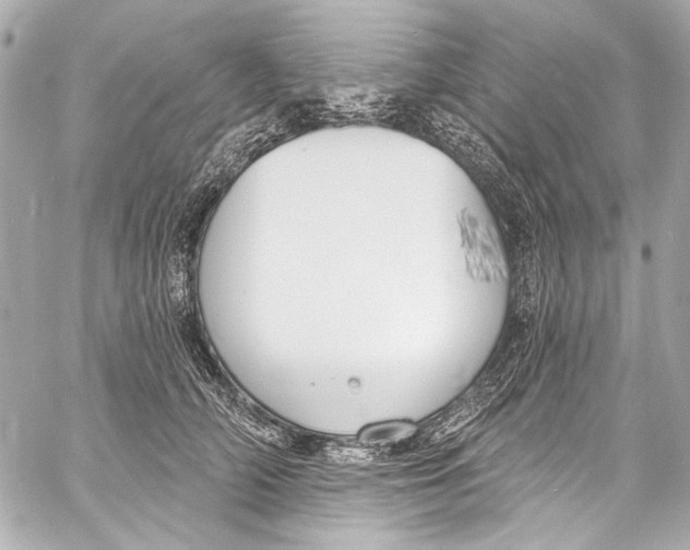 X0000057070706200510071432