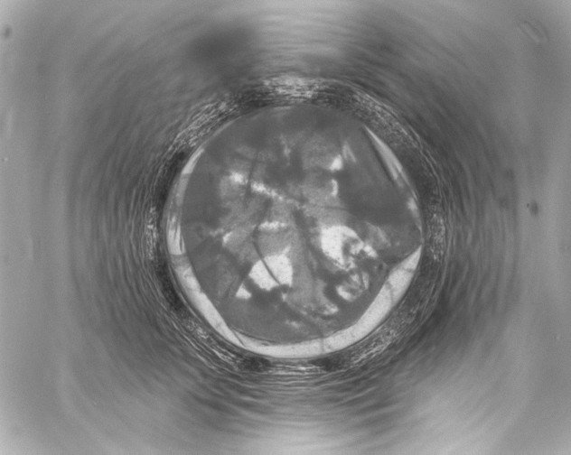 X0000057070707200510071432