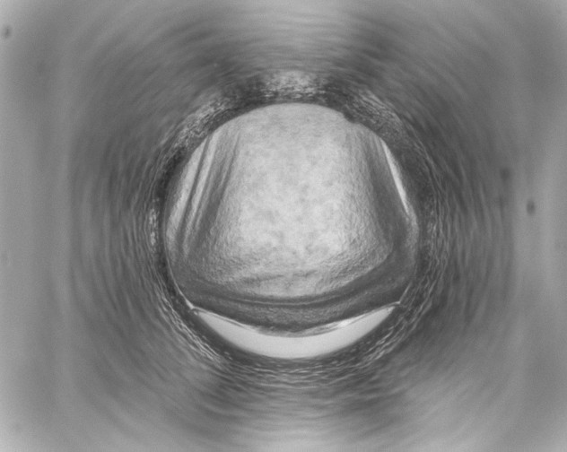 X0000057070708200510071432