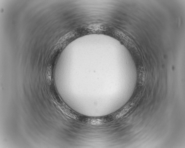 X0000057070710200510071432