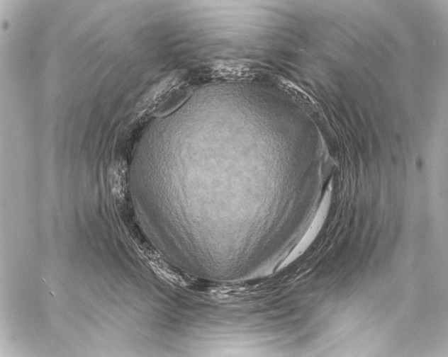 X0000057070712200510071432