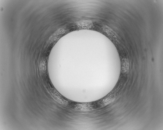 X0000057070713200510071432