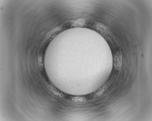 X0000057070714200510071432