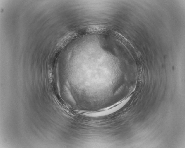 X0000057070716200510071432