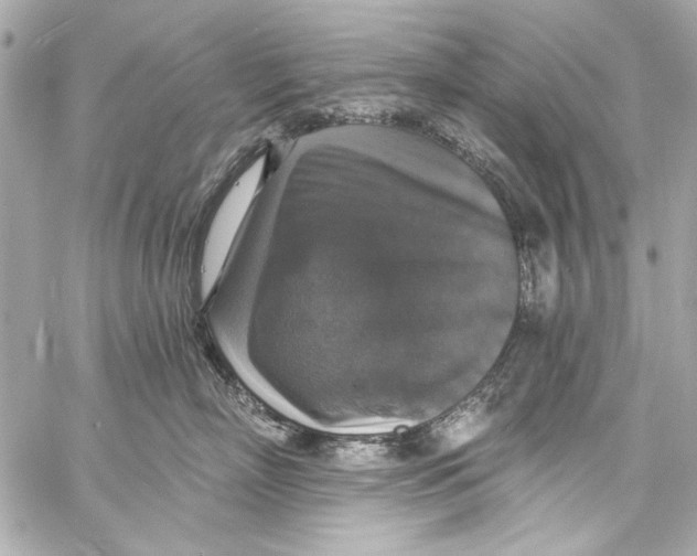 X0000057070718200510071432