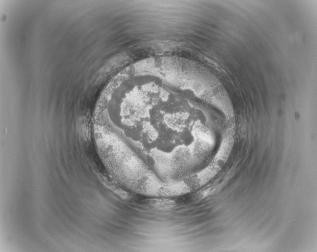 X0000057070719200510071432