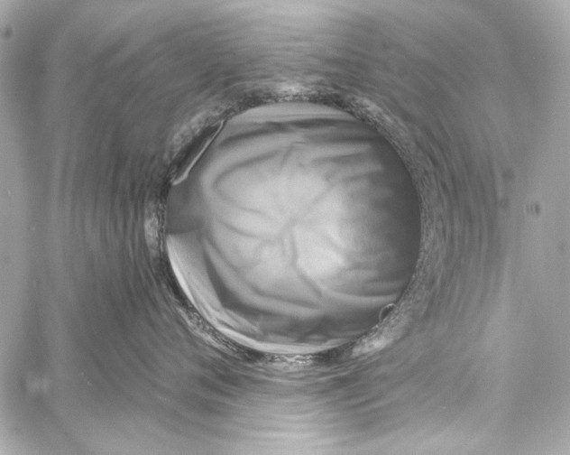 X0000057070720200510071432