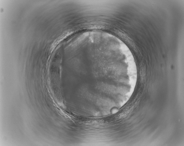 X0000057070721200510071431