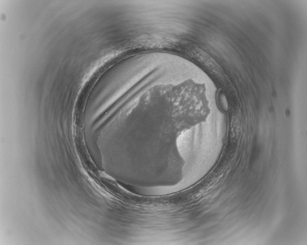 X0000057070722200510071431