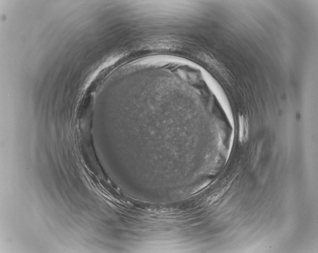 X0000057070723200510071431