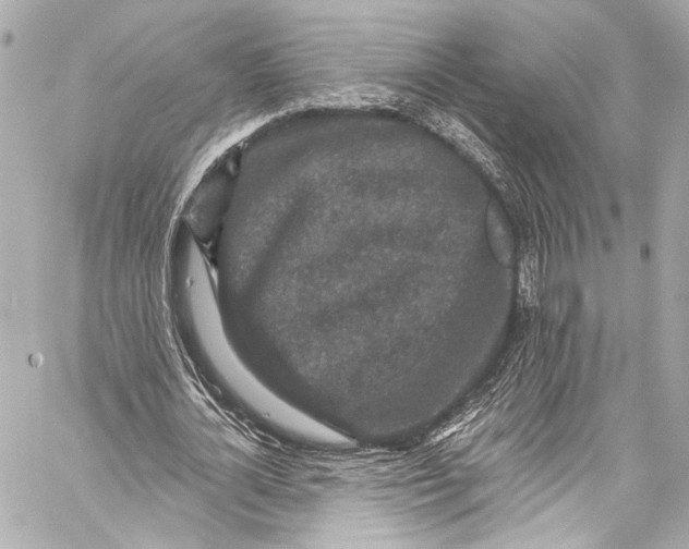 X0000057070724200510071431