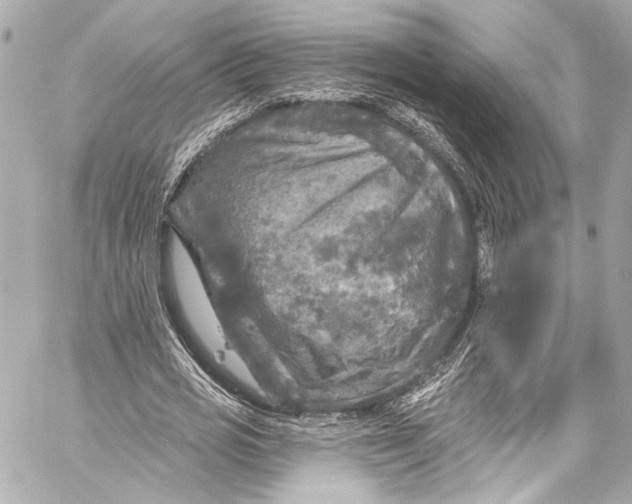 X0000057070725200510071431