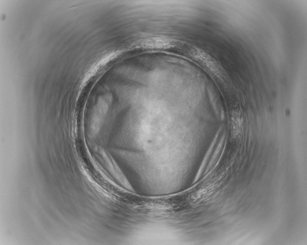 X0000057070726200510071432