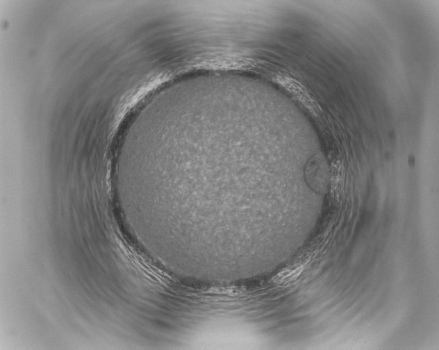 X0000057070727200510071432