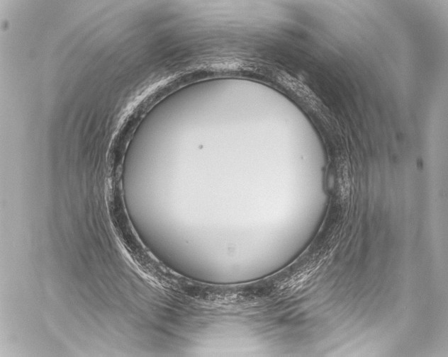 X0000057070728200510071432