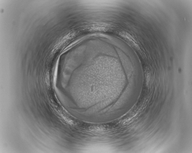 X0000057070729200510071432