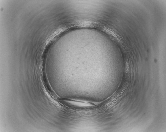 X0000057070730200510071432