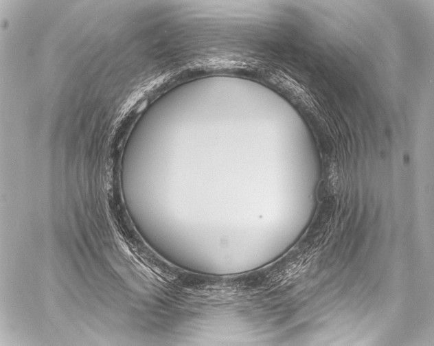 X0000057070732200510071432