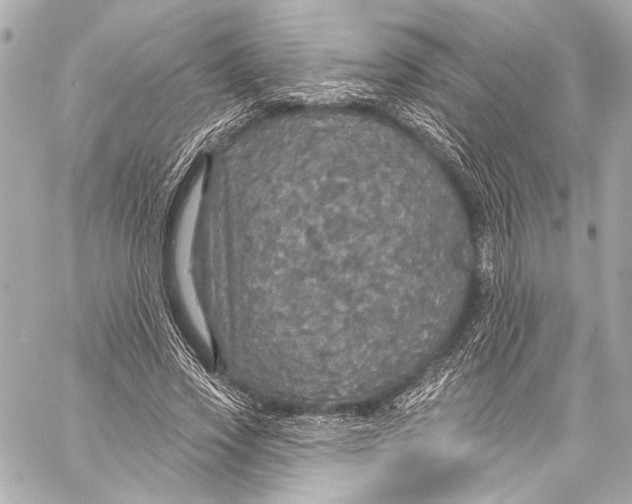 X0000057070733200510071432