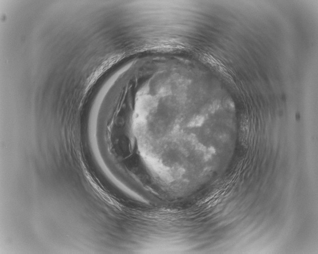 X0000057070734200510071432