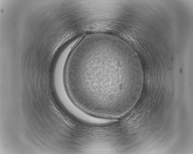 X0000057070735200510071432