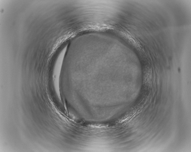 X0000057070736200510071432