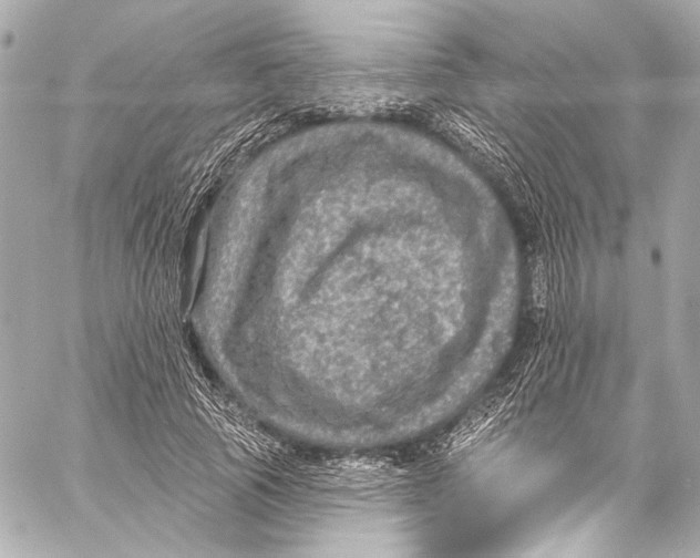 X0000057070737200510071432