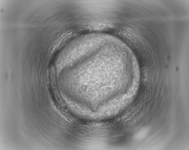 X0000057070738200510071432