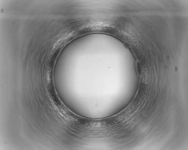 X0000057070740200510071432