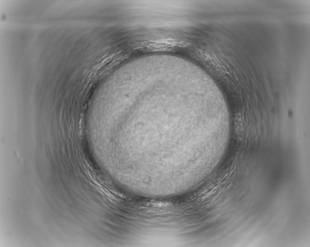 X0000057070741200510071432