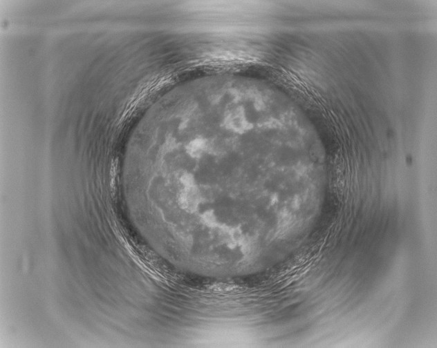 X0000057070742200510071432