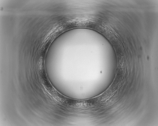 X0000057070744200510071432