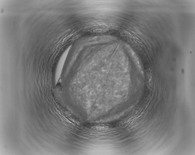 X0000057070745200510071432