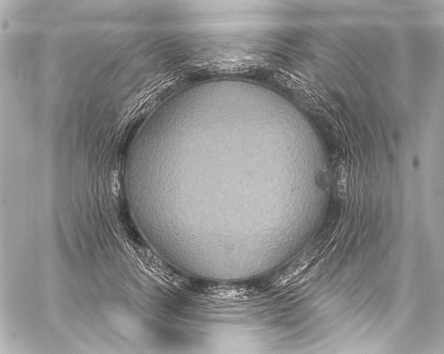 X0000057070746200510071432