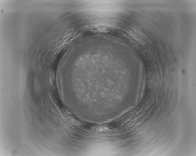 X0000057070747200510071432