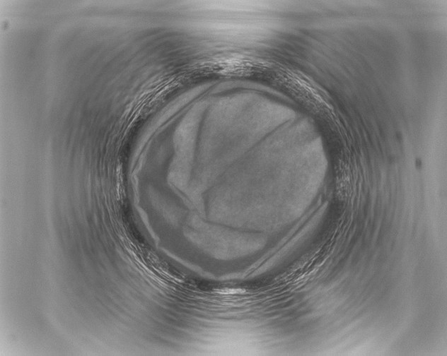 X0000057070748200510071432