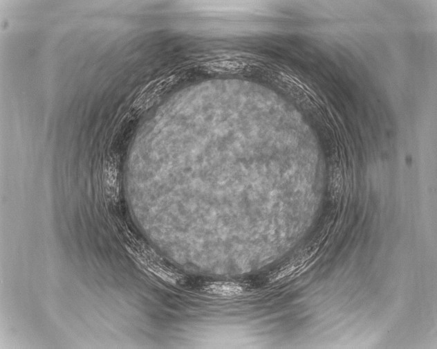 X0000057070749200510071432