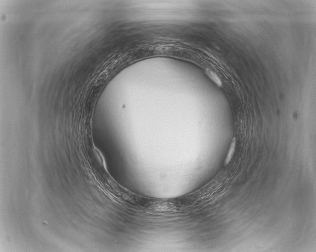 X0000057070750200510071432