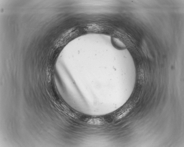 X0000057070751200510071432