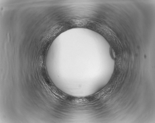 X0000057070752200510071432