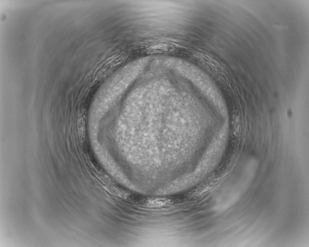 X0000057070753200510071432