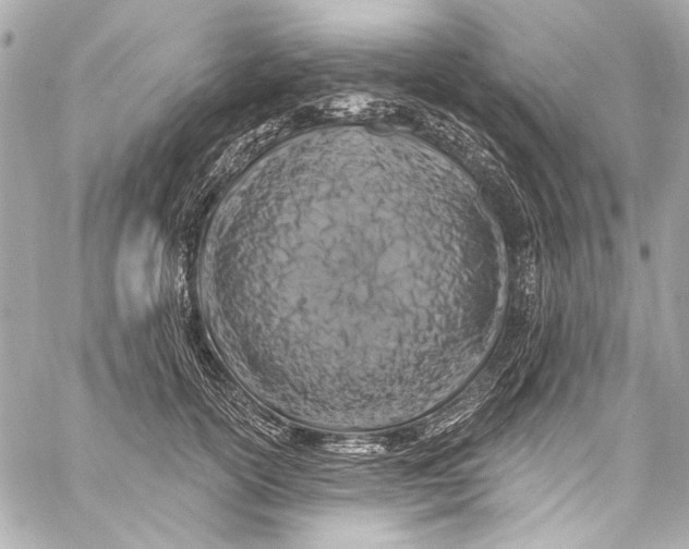 X0000057070754200510071432