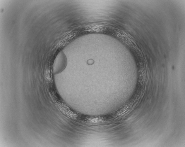 X0000057070755200510071432