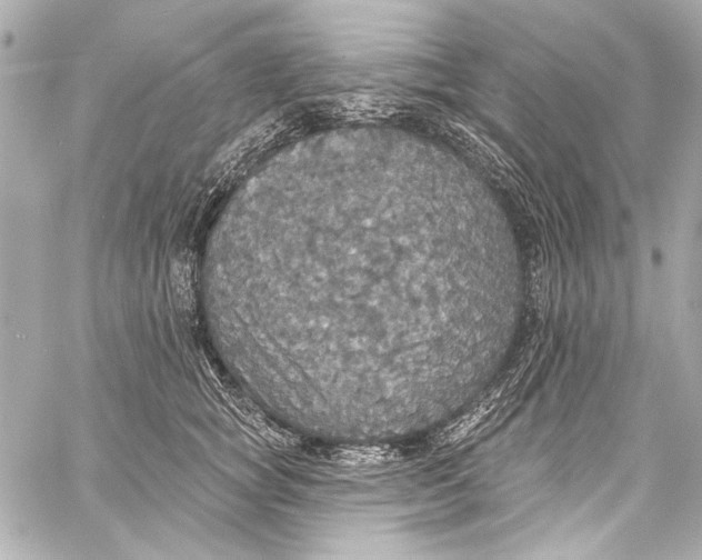 X0000057070757200510071432