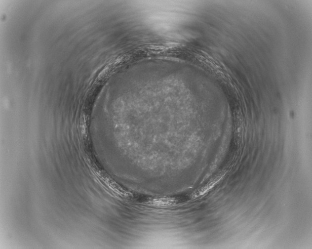 X0000057070758200510071432