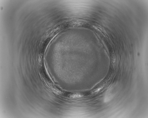 X0000057070759200510071432