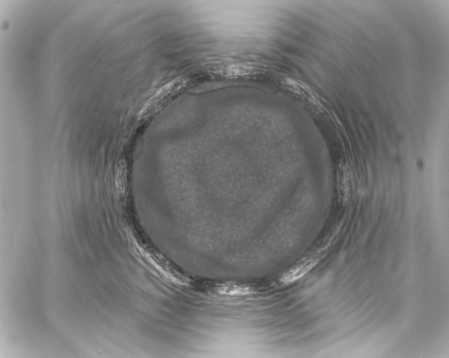 X0000057070760200510071432